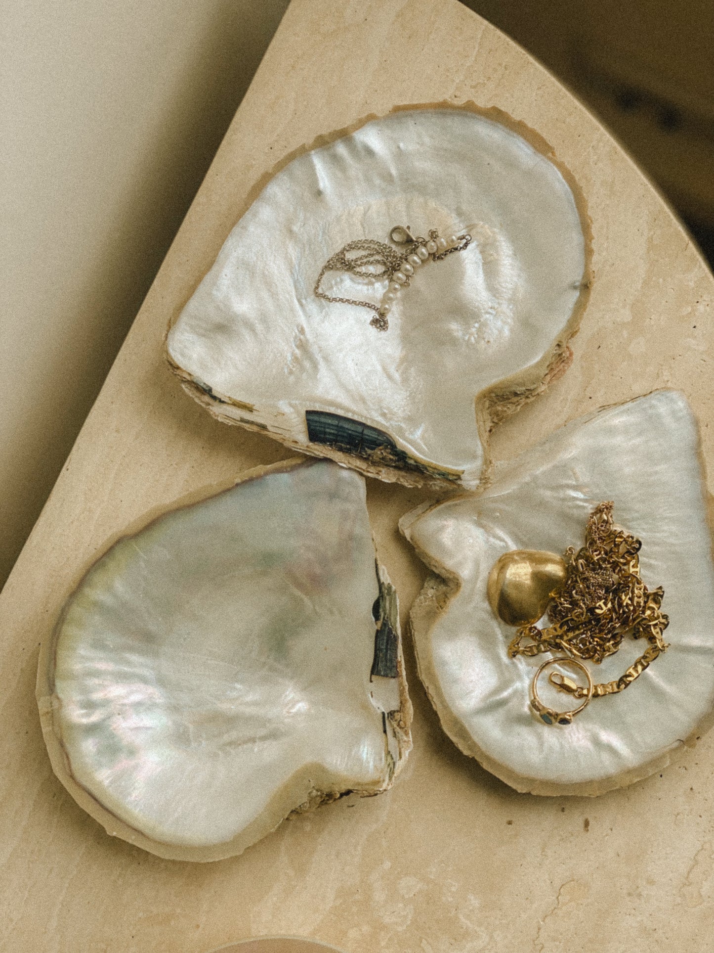 Giant Australian Pearl Oyster Shells