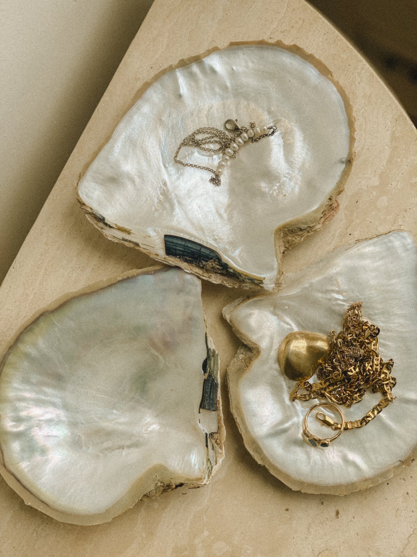 Giant Australian Pearl Oyster Shells