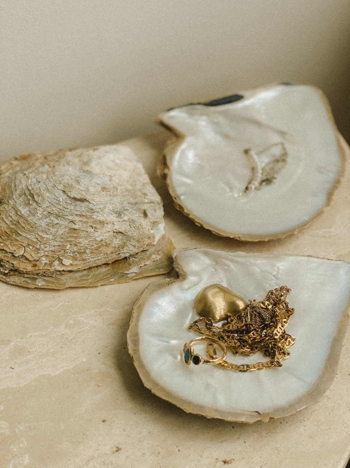 Giant Australian Pearl Oyster Shells