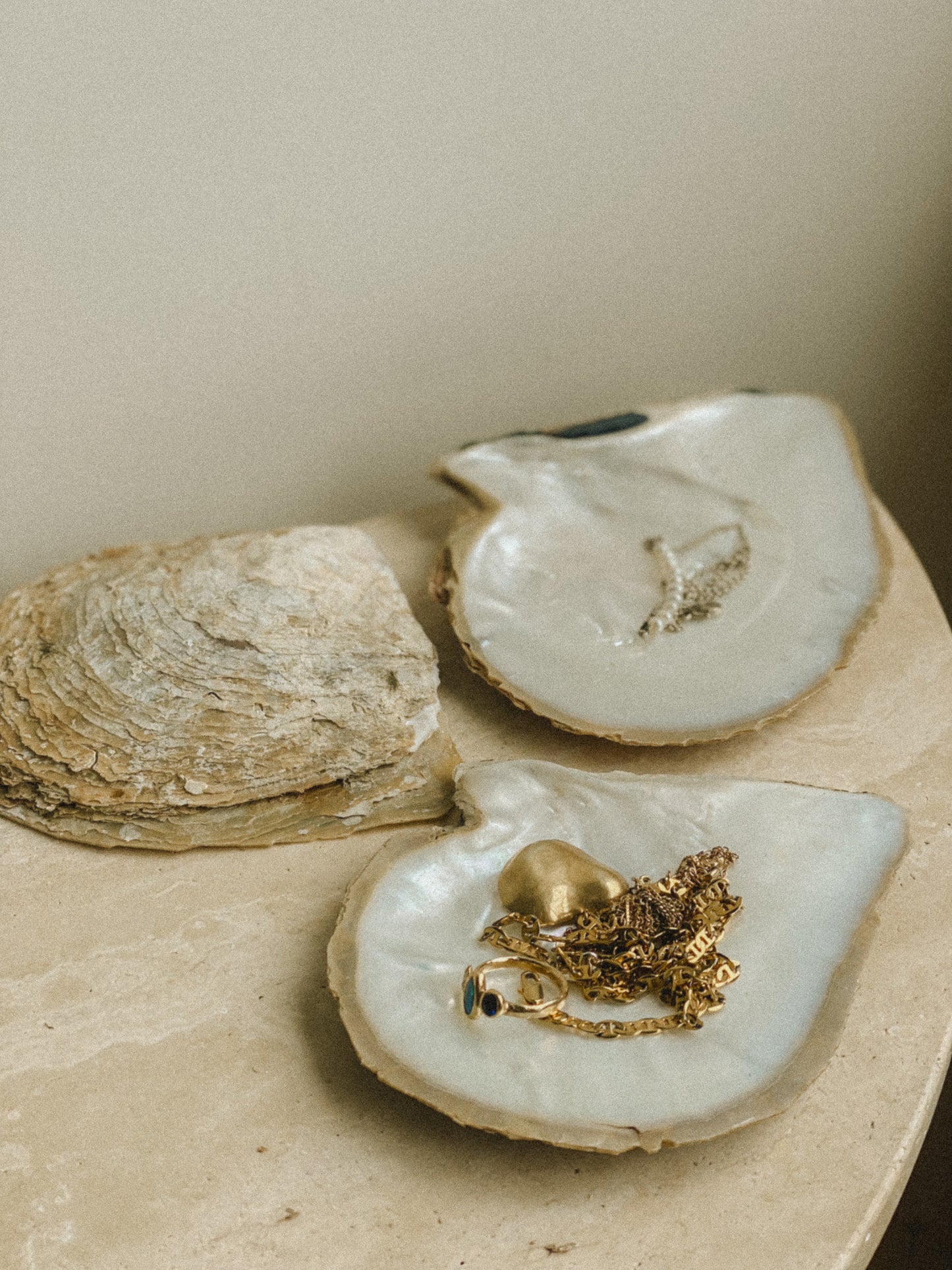 Giant Australian Pearl Oyster Shells